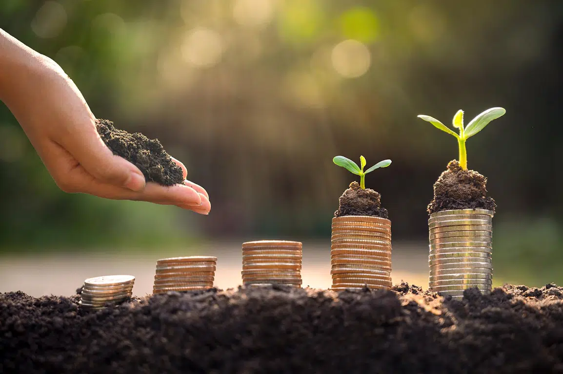 Sustainability image